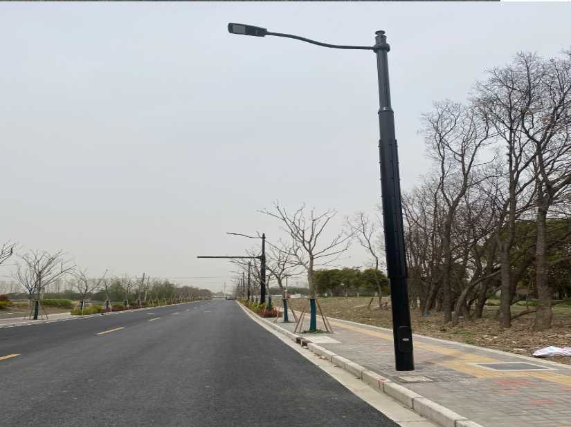庄浪县上海综合杆 太阳能路灯工程